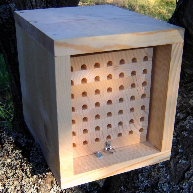 A tray-style mason bee larva house and its rain cover.